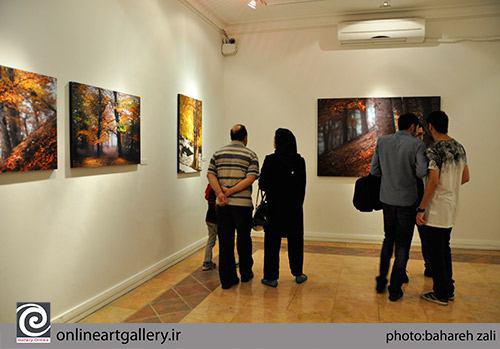 گزارش تصویری نمایشگاه عکس روانبخش صادقی با عنوان "هیاهوی سکوت" در نگارخانه استاد ممیز خانه هنرمندان(24مهر94)