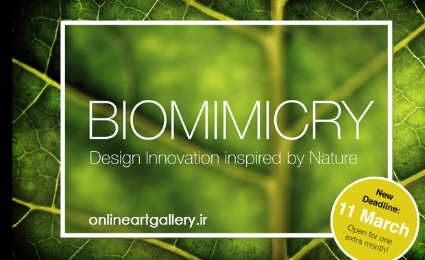 مسابقه طراحی مجله Biomimicry