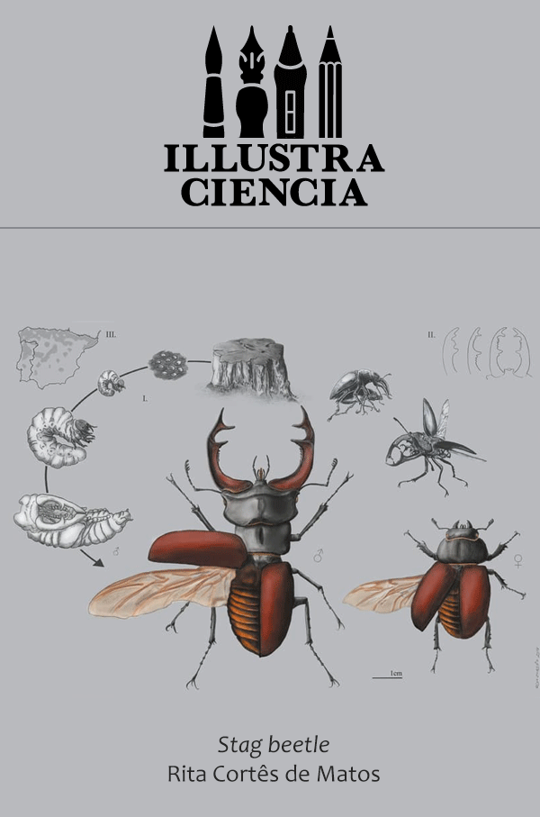 illustra ciencia competition