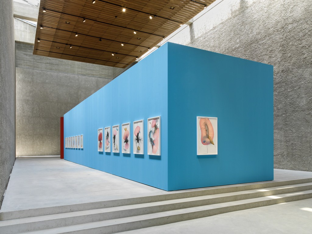 گزارش تصویری نمایشگاه Jorinde Voigt تحت عنوان آرامش رادیکال در آلمان