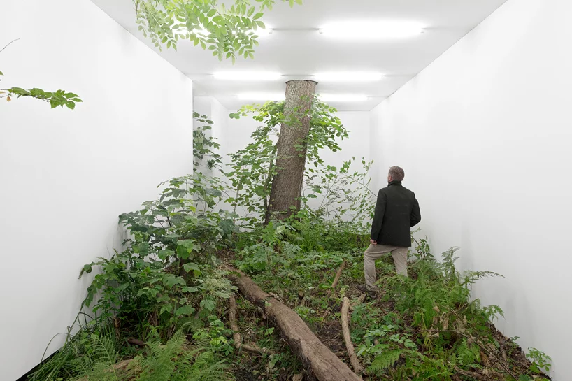 isolation by fabian knecht transforms landscape into a figural great indoors