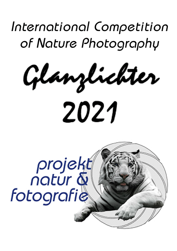 international competition of nature photography