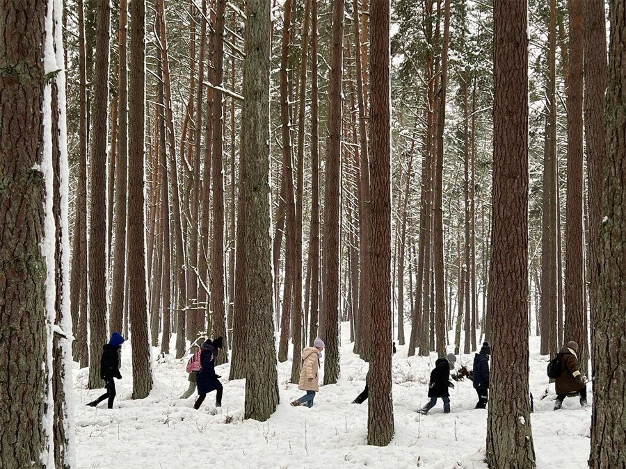 “Children`s Forest:” The Lithuanian Pavilion Acts as an Educational Tool at the 2023 Venice Architecture Biennale