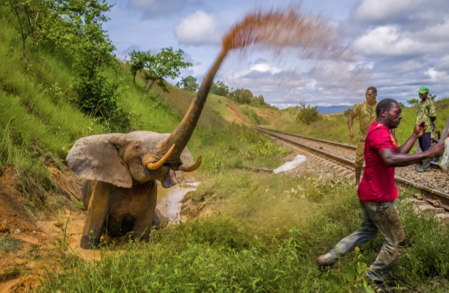 Powerful images from environmental photography prize show challenges and hope