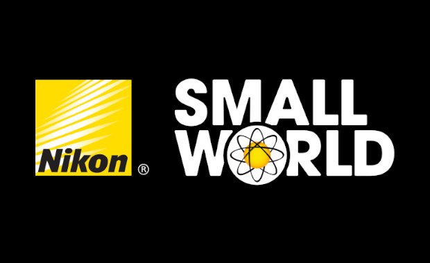Nikon`s Small World 2024 Photomicrography and Video Competition