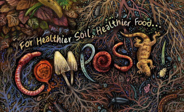 International Compost Awareness Week 2024 Poster Contest