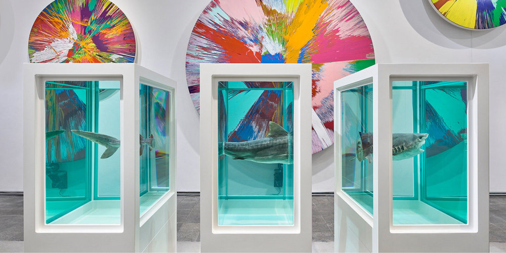Damien hirst`s "the weight of things" explores the interplay of science, life & death at MUCA