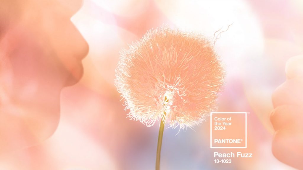 Pantone`s Peachy 2024 Color of the Year Will Give You the Warm Fuzzies