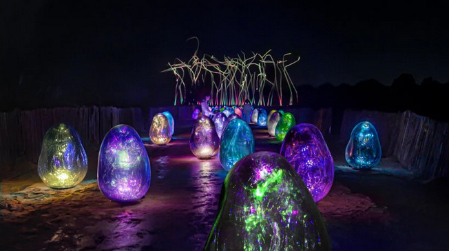 TeamLab opens mangrove island at manar abu dhabi with multiple technicolor installations