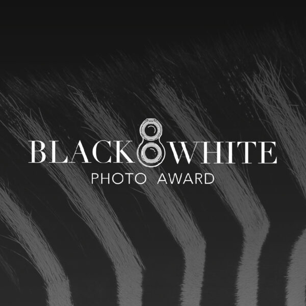 Black and White Photo Awards 2024