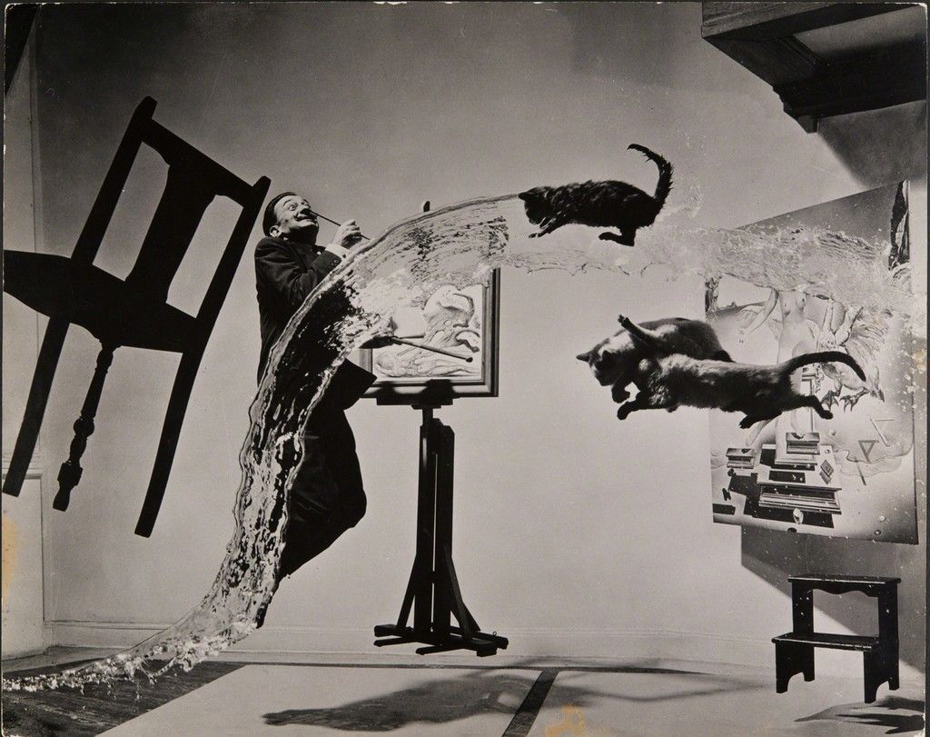 The Story behind the Surreal Photograph of Salvador Dalí and Three Flying Cats