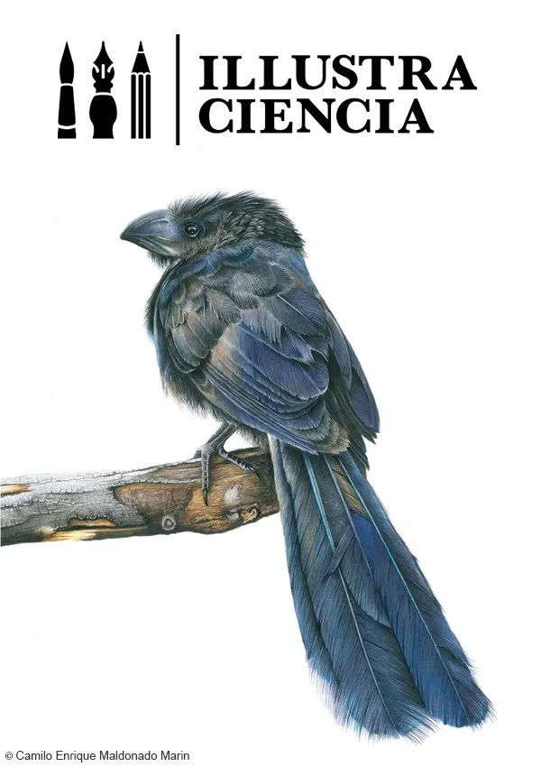 فراخوان تصویرسازی علمی Illustraciència