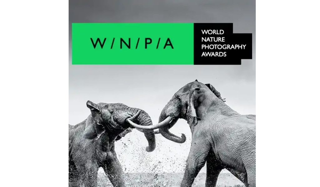 World Nature Photography Awards (WNPA) 2023