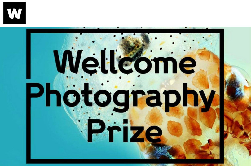 Wellcome Photography Prize 2019