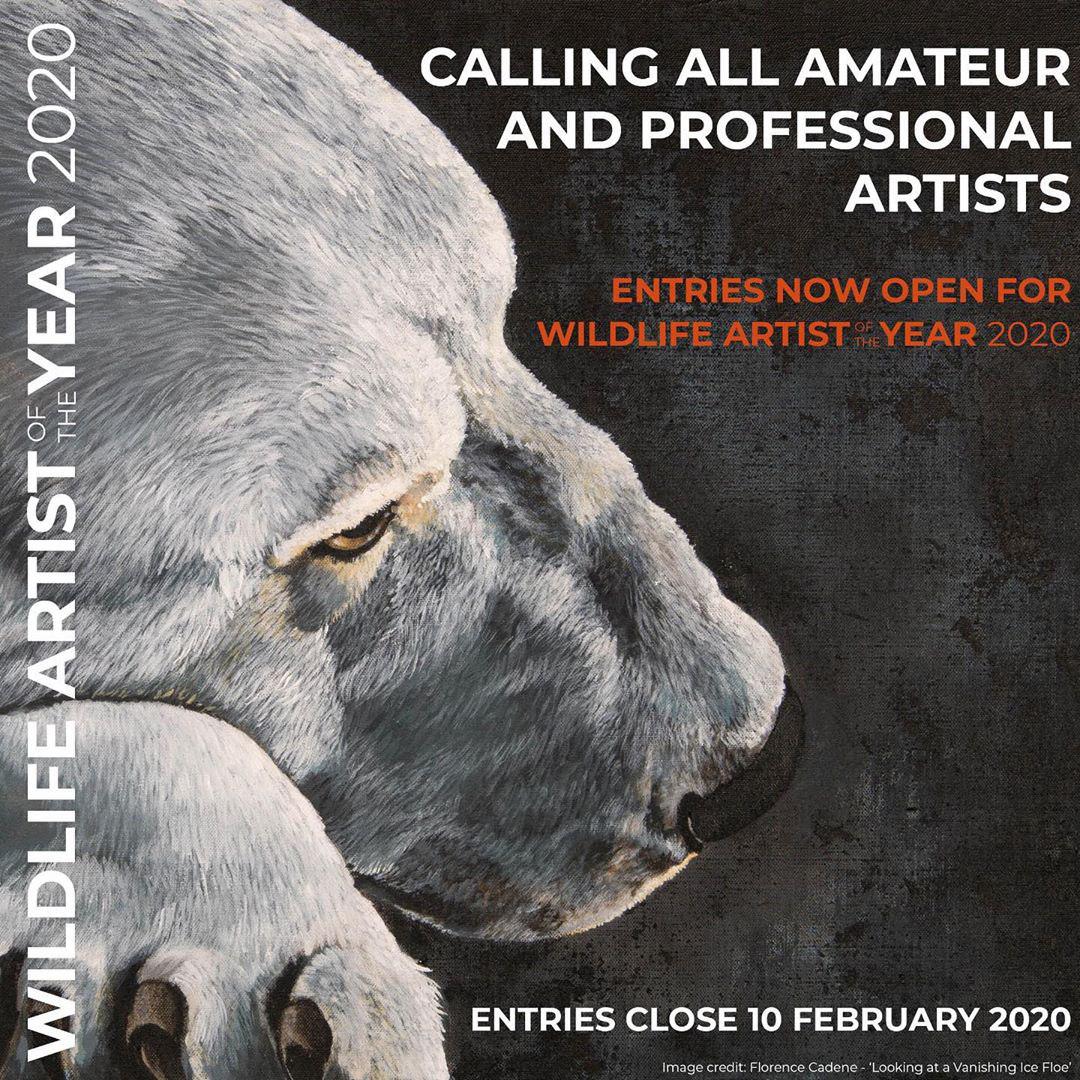 Wildlife Artist Of The Year Competition 2020
