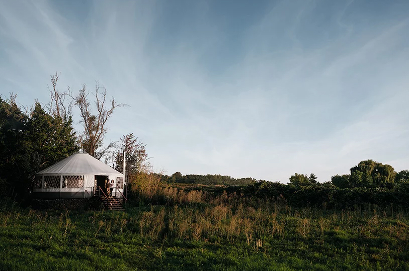 couple builds botanical, light-filled yurt with a circular sleeping loft and skylight