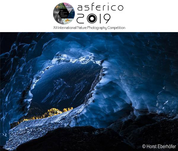 International Nature Photography Competition ASFERICO 2019