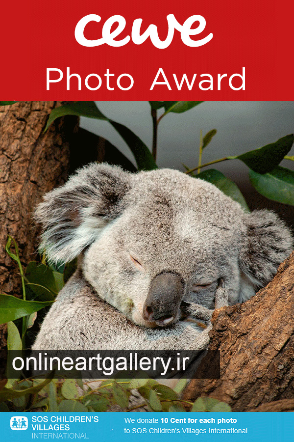 CEWE Photo Award 2021