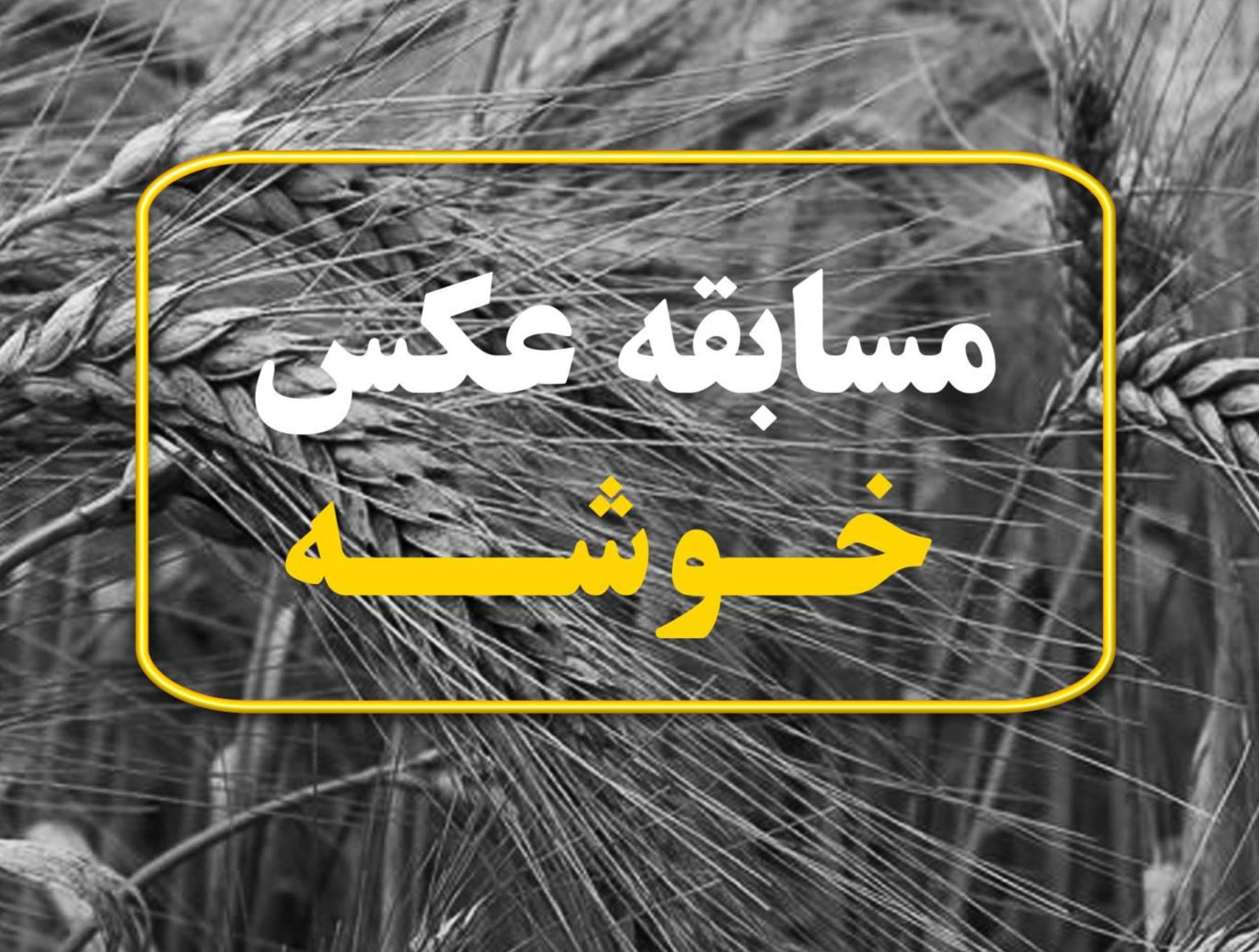 فراخوان سومین مسابقه ملی عکس «خوشه»
