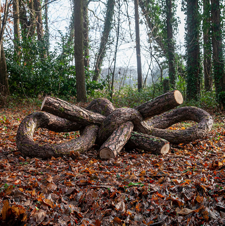 monsieur plant contorts fantastical tree trunk sculptures to explore the powers of nature