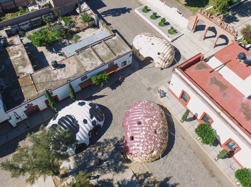 norberto miranda creates huge inflatable beans to host exhibitions in mexico