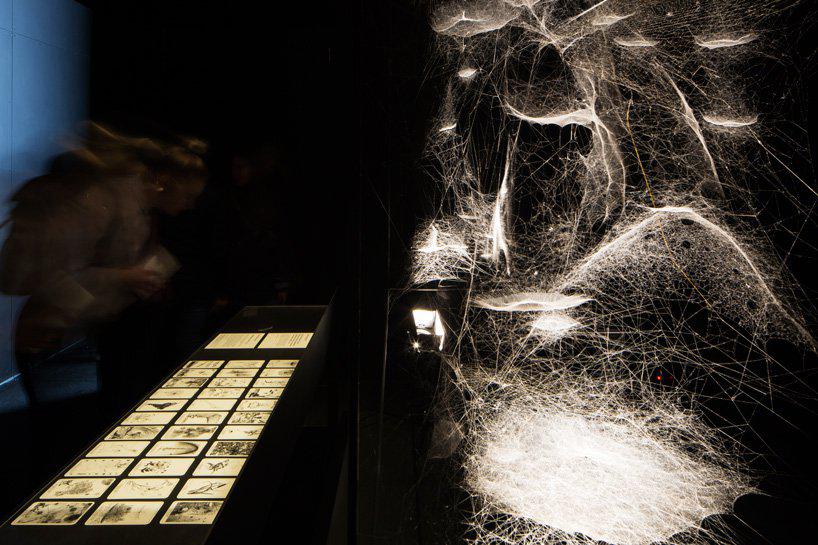 tomas saraceno brings spider webs to the venice art biennale
