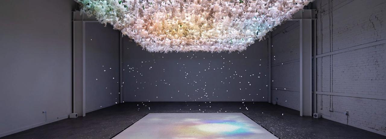 the art of bloom brings a responsive shower of floral petals to long beach