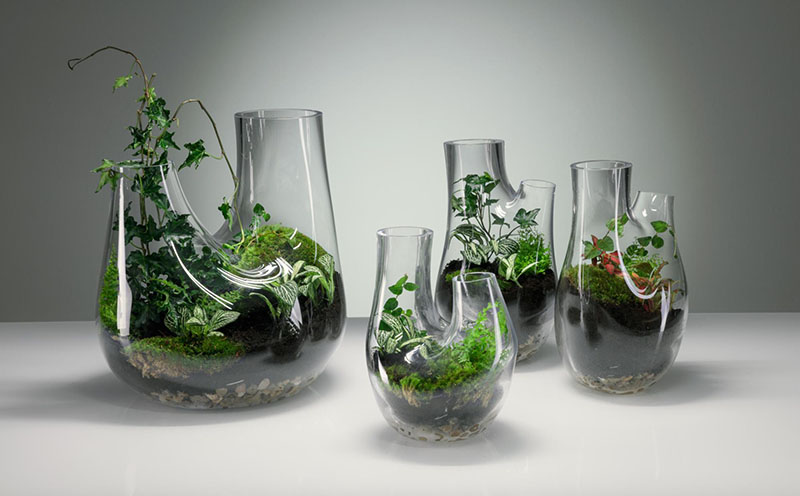 طراحی گلخانهی کوچک در دکوراسیون منزل