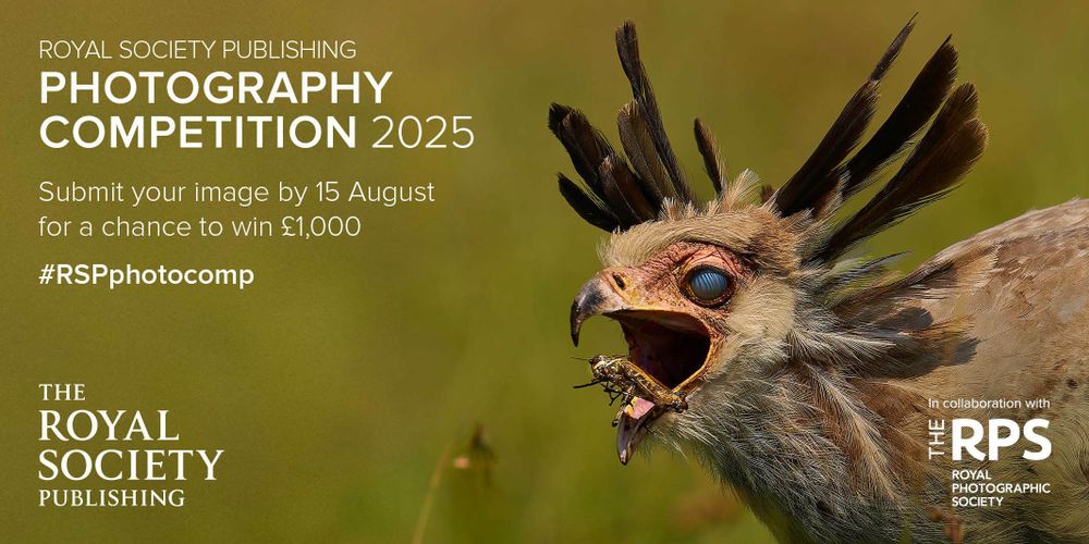 2025 Royal Society Publishing Photography Competition