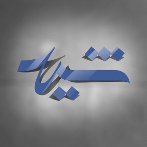 فراخوان نمایشگاه هشتمین دوره جایزه عکس شید