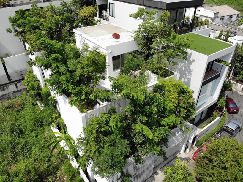 shma company limited integrates more than 100 trees within the forested house in bangkok