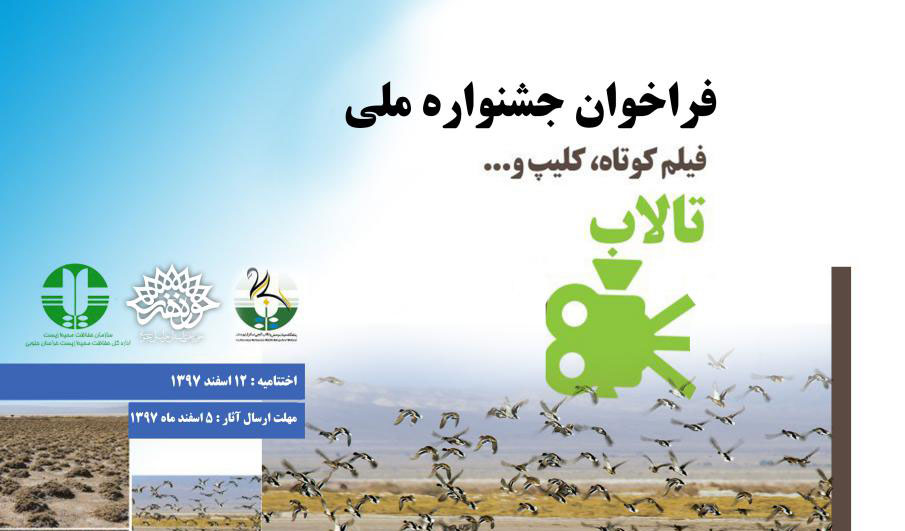 فراخوان جشنواره ملی فیلم کوتاه تالاب