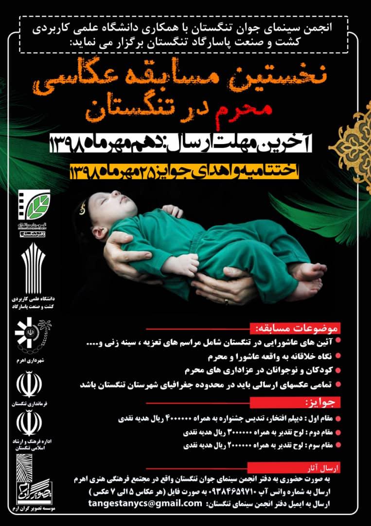 فراخوان مسابقه عکاسی "محرم در تنگستان"