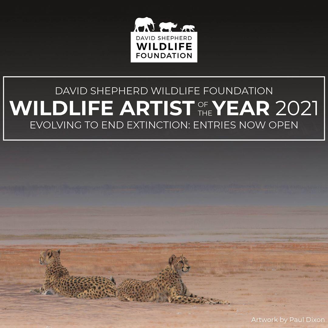 فراخوان رقابت Wildlife Artist of the Year