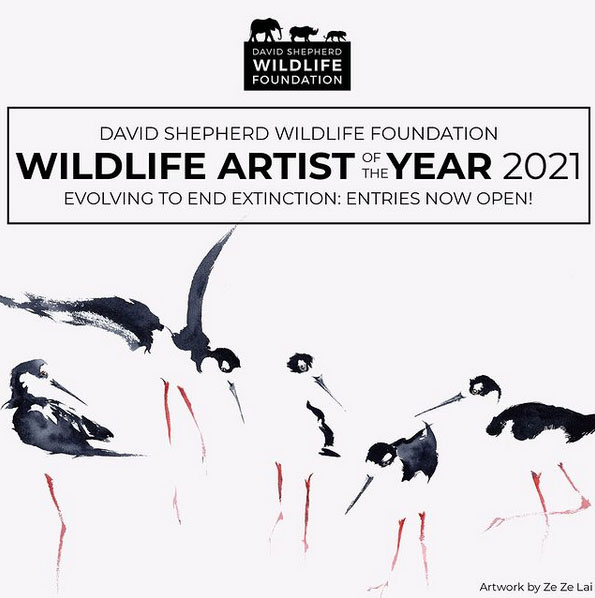 فراخوان رقابت هنرهای تجسمی Wildlife Artist of the Year